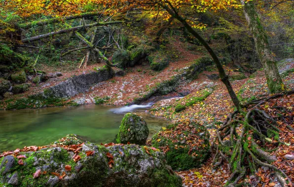 Картинка осень, вода, камни, листва, water, Autumn, leaves, fall