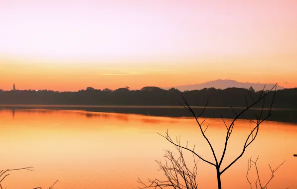 Sun, Water, Sunrise, Dawn, Morning, Lake, Trees, Reflection