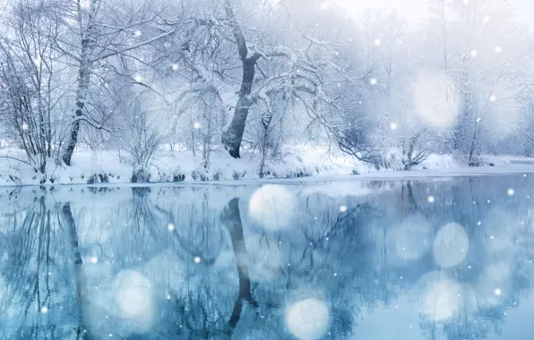Картинка зима, деревья, пейзаж, сказка, снегопад, Winter beauty, snow wonderland, blue covering
