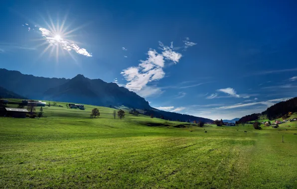 Горы, Австрия, Альпы, луг, Austria, Alps