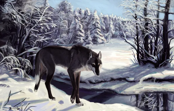 Картинка зима, снег, деревья, следы, река, Волк