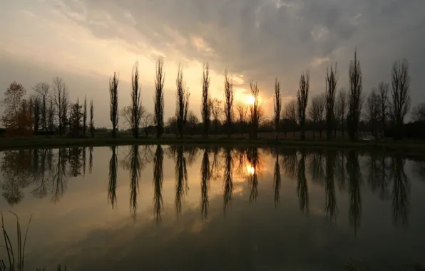 Картинка деревья, пруд, Закат, Солнце