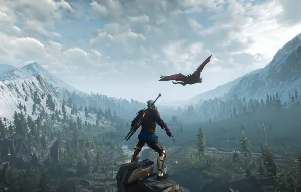 Ведьмак, The Witcher, Геральт, Ведьмак: дикая охот