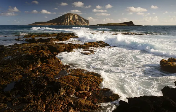 Картинка море, волны, пена, брызги, природа, камни, скалы, морская