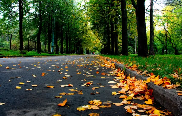 Дорога, осень, листья, деревья, природа, парк, Nature, листопад