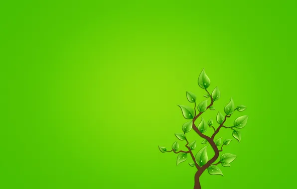 Листья, капли, дерево, минимализм, ветка, зеленоватый фон