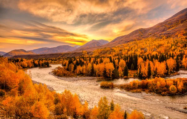 Картинка осень, лес, небо, деревья, пейзаж, горы, тучи, река