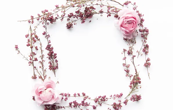Цветы, розы, Pink, Flowers, декор