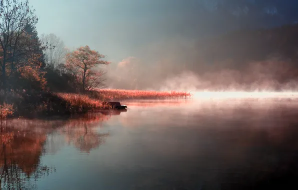 Картинка осень, природа, туман, озеро, река, берег, утро, пар