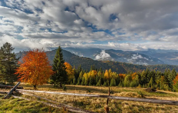 Картинка осень, деревья, пейзаж, горы, природа