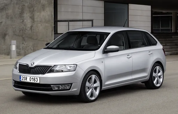 Серый, skoda, spaceback, rapid
