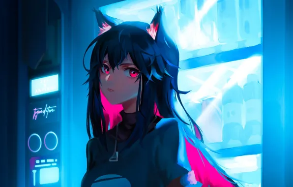 Взгляд, аниме, брюнетка, ушки, anime, brunette, look, anime girls