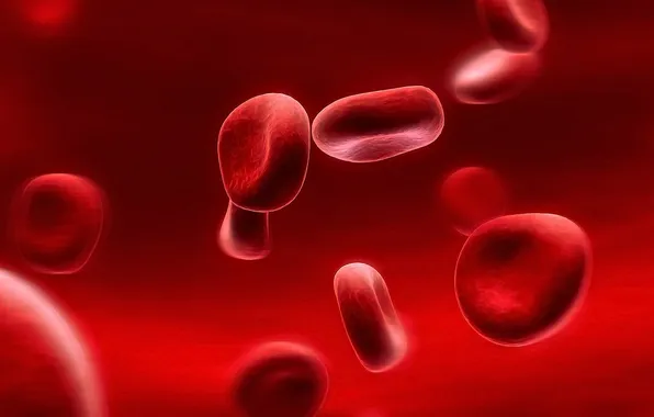Макро, красный, кровь, кровяные тельца, эритроциты