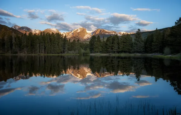 Лес, горы, озеро, отражение, Colorado, Rocky Mountain National Park, Sprague Lake