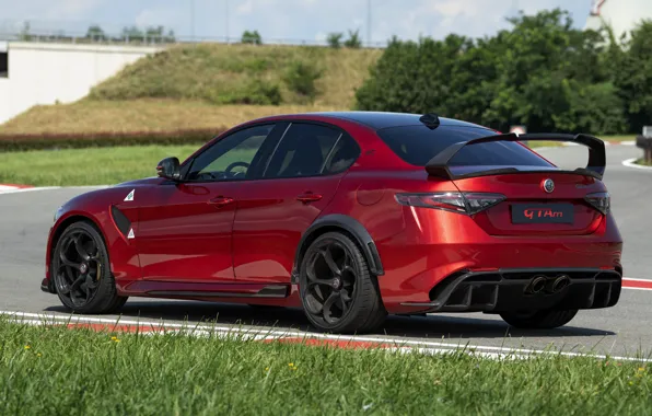 Трава, газон, Alfa Romeo, Giulia, GTAm, 2020, Gran Turismo Alleggerita modificata