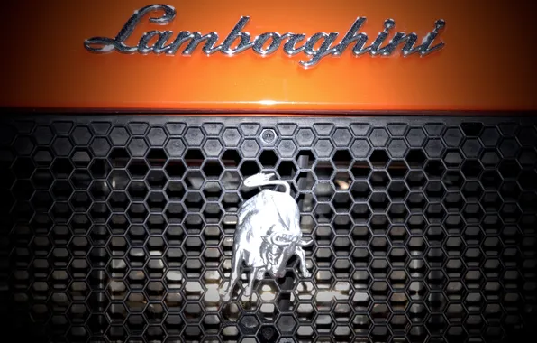 Надпись, Lamborghini, решетка, эмблема, бык, ламборгини, ораньжевый