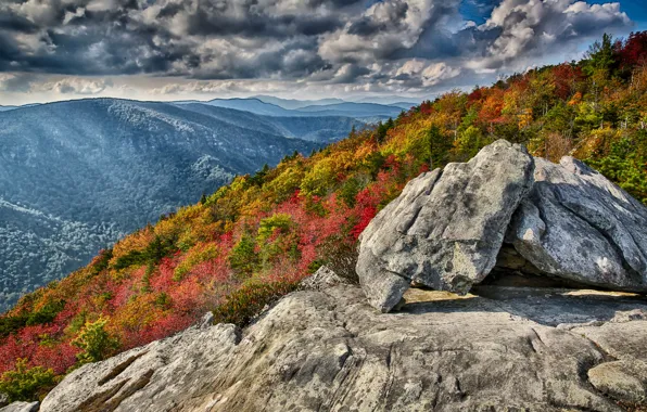 Картинка осень, лес, небо, горы, тучи, камни, скалы, склон