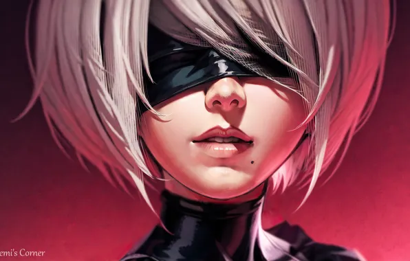 Girl, nier, nier automata