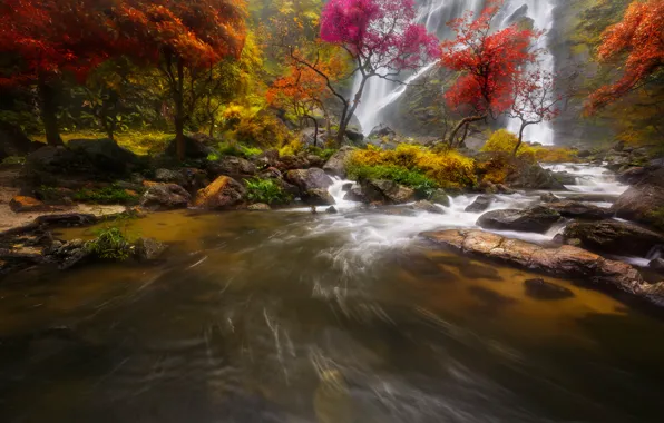 Картинка осень, лес, деревья, скала, река, камни, водопад