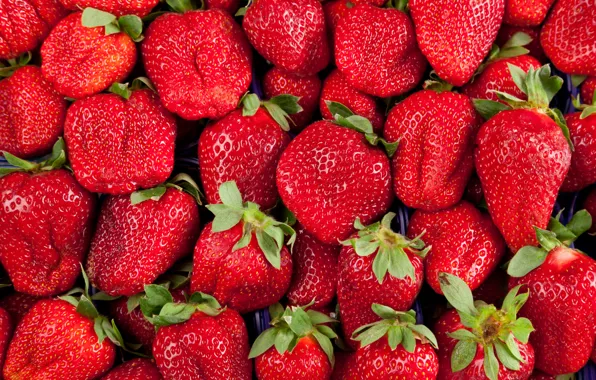 Фон, текстура, клубника, ягода, red, fresh, background, strawberry