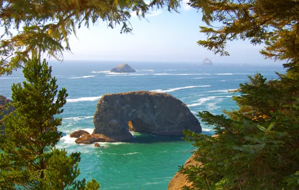 Волны, деревья, скалы, берег, США, тихоокеанское побережье, штат Орегон