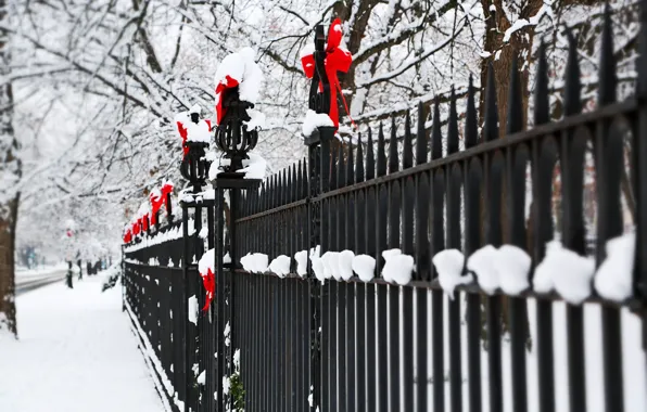 Картинка зима, снег, деревья, ветки, природа, забор, ограда, красные