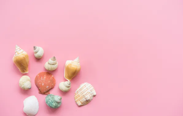 Фон, розовый, ракушки, pink, background, marine, seashells