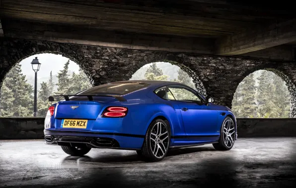 Bentley, Continental, вид сзади, 2017, Supersports