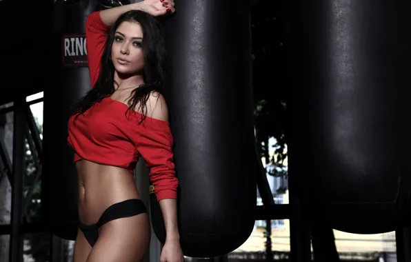 Arianny celeste, ufc, ring girl