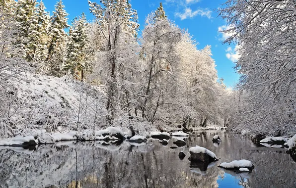 Картинка зима, лес, небо, снег, деревья, озеро, камни, ель
