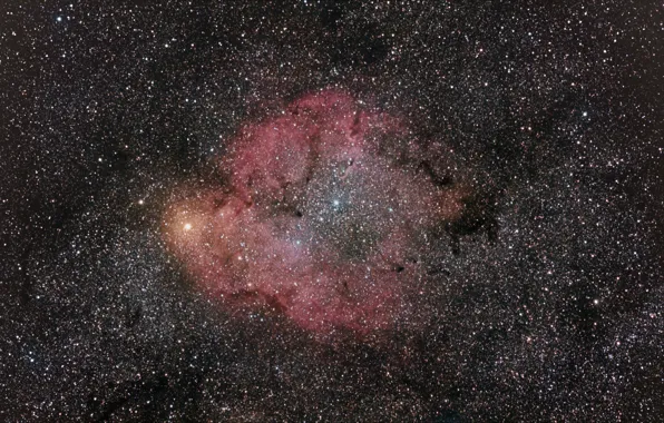 Туманность, эмиссионная, IC 1396, в Цефее