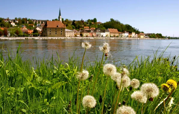 Город, река, Австрия, Linz, Линц