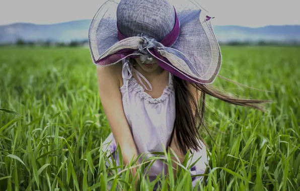 Картинка поле, девушка, ветер, шляпка
