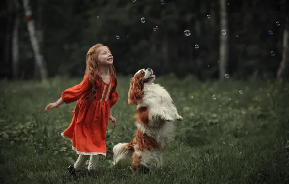 Картинка пузыри, собака, девочка, рыжая, спаниель