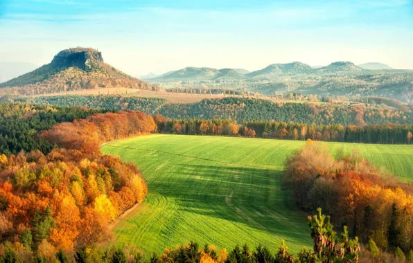 Картинка осень, листья, деревья, пейзаж, природа, холмы, желтые, Германия