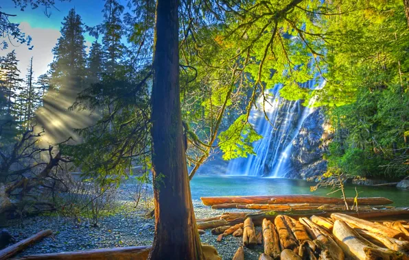 Картинка лес, деревья, скала, водопад, бревна, США, лучи солнца, Tennessee