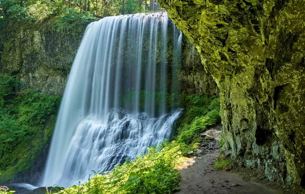 Картинка waterfall, wilderness, oregon, nature photography, pacific northwest