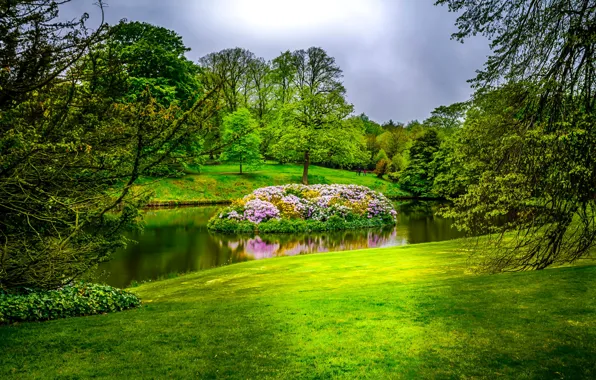 Зелень, трава, деревья, цветы, пруд, парк, Англия, островок
