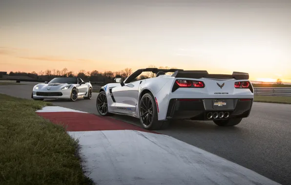 Car, Corvette, Chevrolet, logo, Chevrolet Corvette, Chevrolet Corvette Carbon 65 Edition Model, Chevrolet Corvette Carbon …