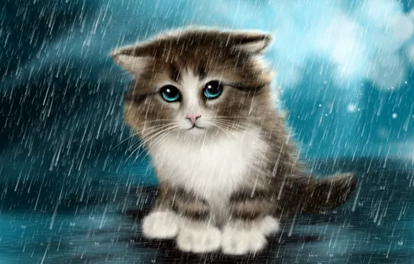 Грусть, котенок, дождь