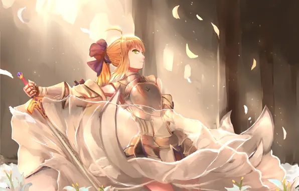 Картинка anime, warrior, manga, bishojo, fate, japonese, Type Moon