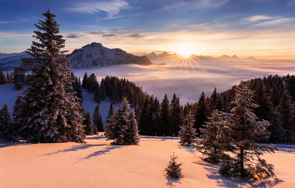 Картинка зима, солнце, лучи, снег, деревья, пейзаж, горы, природа