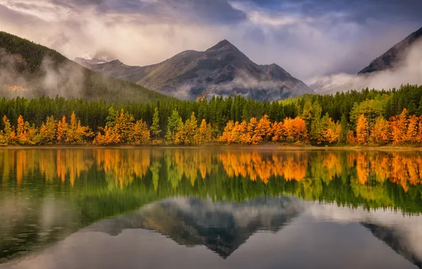 Осень, лес, горы, озеро, отражение, берег, дымка, симметрия