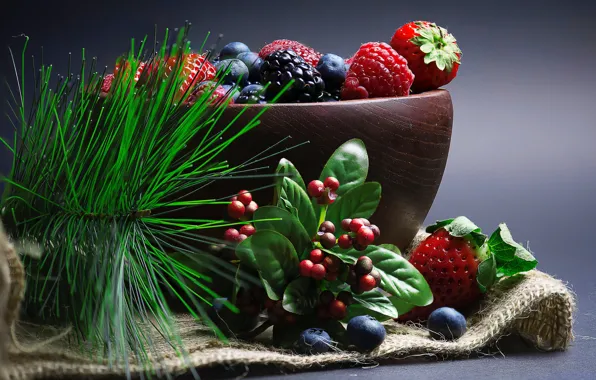Картинка ягоды, веточка, черника, клубника, плоды, миска, хвоя, разное