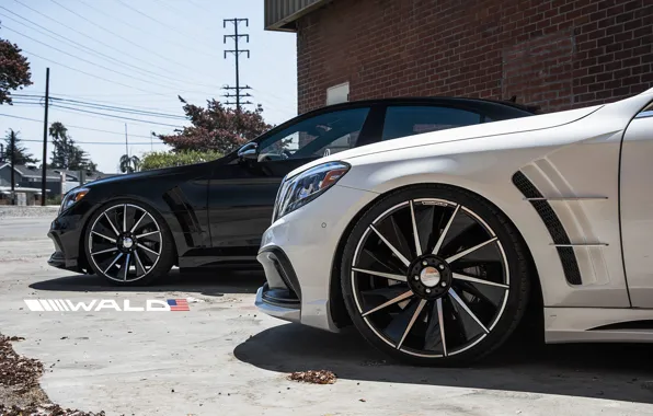 TUNING, WALD, MERCEDES, BENZ, BLACK BISON, W222, S-CLASS