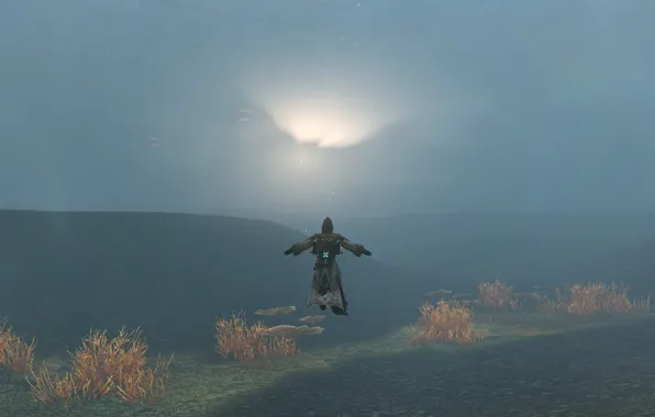 Море, водолаз, песочница, archeage, mail.ru, ММОРПГ