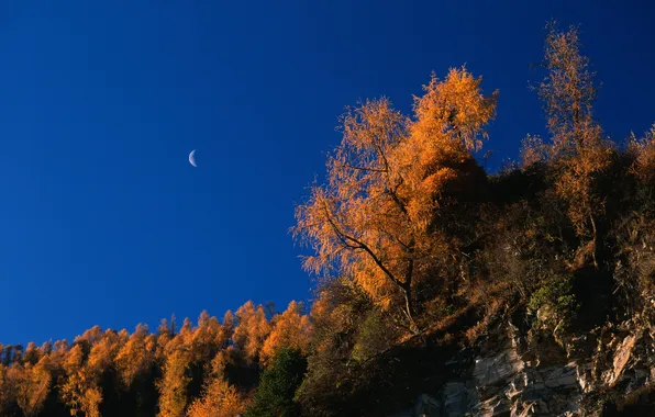 Осень, скалы, autumn
