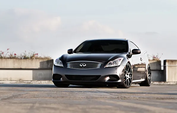 Небо, цветы, Infiniti