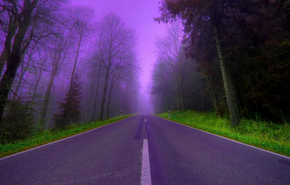 Картинка дорога, деревья, туман, сиреневый, вечер, Лес, красиво