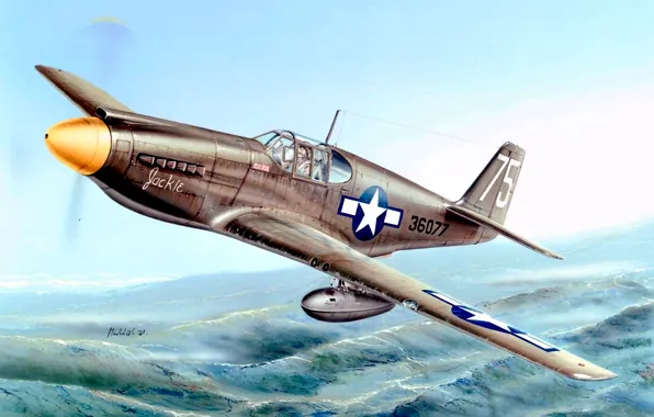 Mustang, P-51, WWII, Многоцелевой истребитель, P-51A, Подвесной топливный бак, 4x12.7-мм пулемета